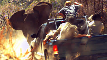 23:00: I'm Alive (S2 E4) (S2) | Animal Planet | 4/8 2026