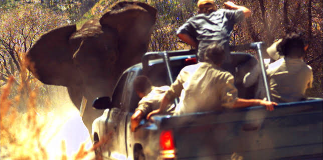 00:45: I'm Alive (S2 E4) (S2) | Animal Planet | 12/13 2025