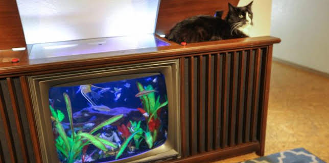 8:00 AM: Diesel Brothers (S3) | Discovery Channel | 3/24 2026