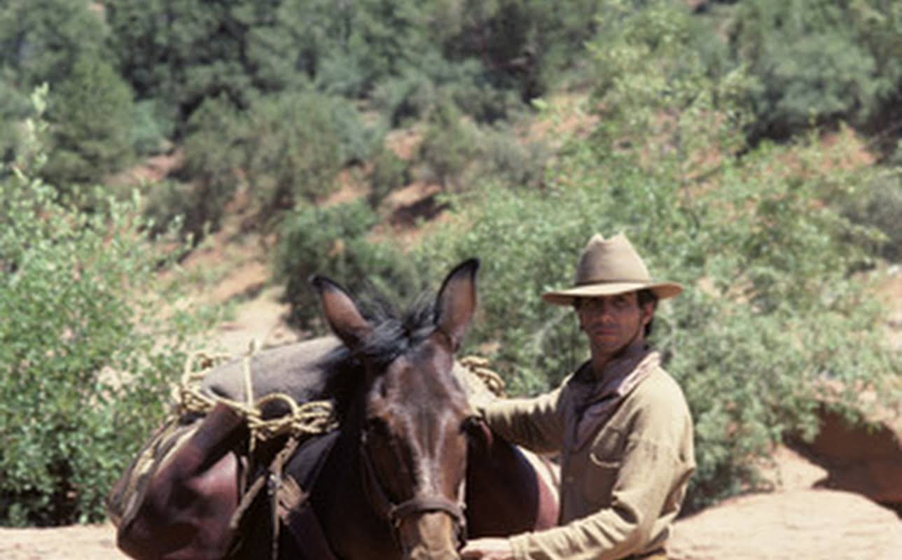 Johnny Crawford