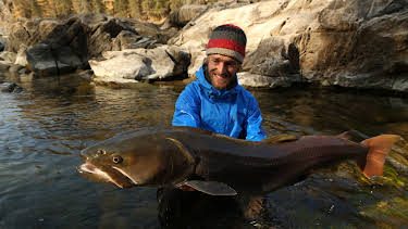 01:30: Big Fish Man (S1 E2) (S1) | Animal Planet | 4/13 2026