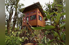 Terrific Tiny Homes: Double-Decker Dreams