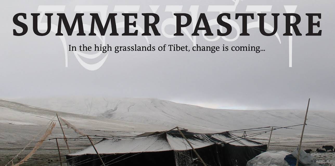 Summer Pasture (2011)