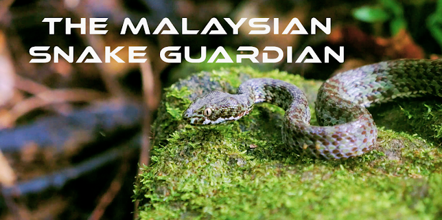 The Malaysian Snake Guardian (2018)
