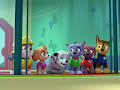 PAW Patrol
