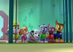 PAW Patrol