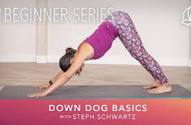 Yoga Every Day: The Beginner Series: Down Dog Basics