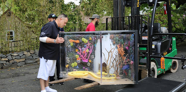 09:25: Akvariedesignerne (S8 E11) (S8) | Animal Planet | 12/11 2025