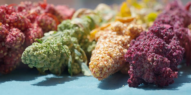 08:00: Quinoa – Genuss mit Beigeschmack | ZDFinfo | 11/21 2025