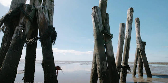 00:50: Urknall im Watt - Als die Umwelt wichtig wurde | ARD Alpha | 11/24 2025