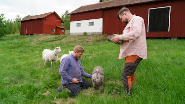 21:00: Renoveringsdrömmar (S3 E1) (S3) | Kanal 5 | 5/20 2026