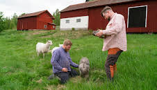 Renoveringsdrömmar (S3 E1)