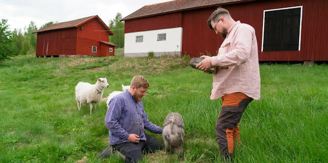 17:05: Renoveringsdrömmar (S3 E1) (S3) | Kanal 5 | 2/26 2026