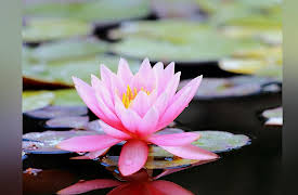 History of the Ancient World: A Global Perspective: Mystics, Buddhists, and Zoroastrians