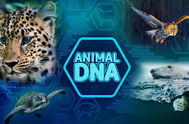 Animal DNA: Animal DNA: Season One - Episode 1