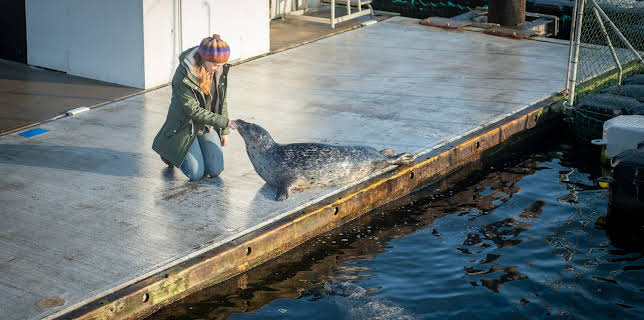 11:15: SOKO Wismar | ZDF | 12/1 2025