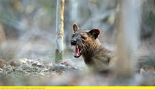 Unbekanntes Madagaskar (2/2)