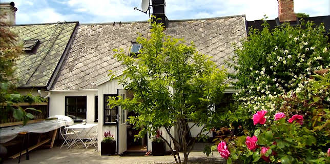 19:00: Husdrømmer | NRK 2 | 1/14 2026