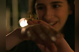 Everything's Gonna Be Okay Season 1: Giant Asian Mantises