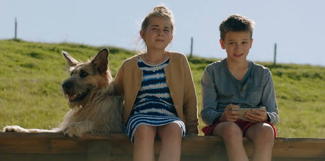 08:40: Racko - Ein Hund für alle Fälle (6) | Das Erste | 2/1 2026