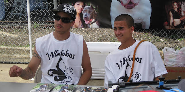 15:00: Pit Bulls & Parolees (S4 E1) (S4) | Animal Planet | 12/10 2025