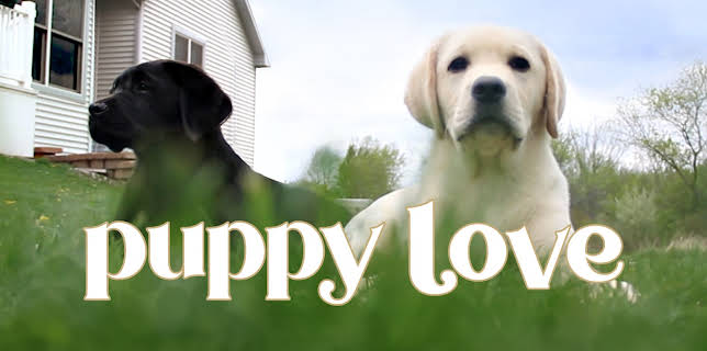 Puppy Love (2023)
