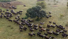 Afrika von oben