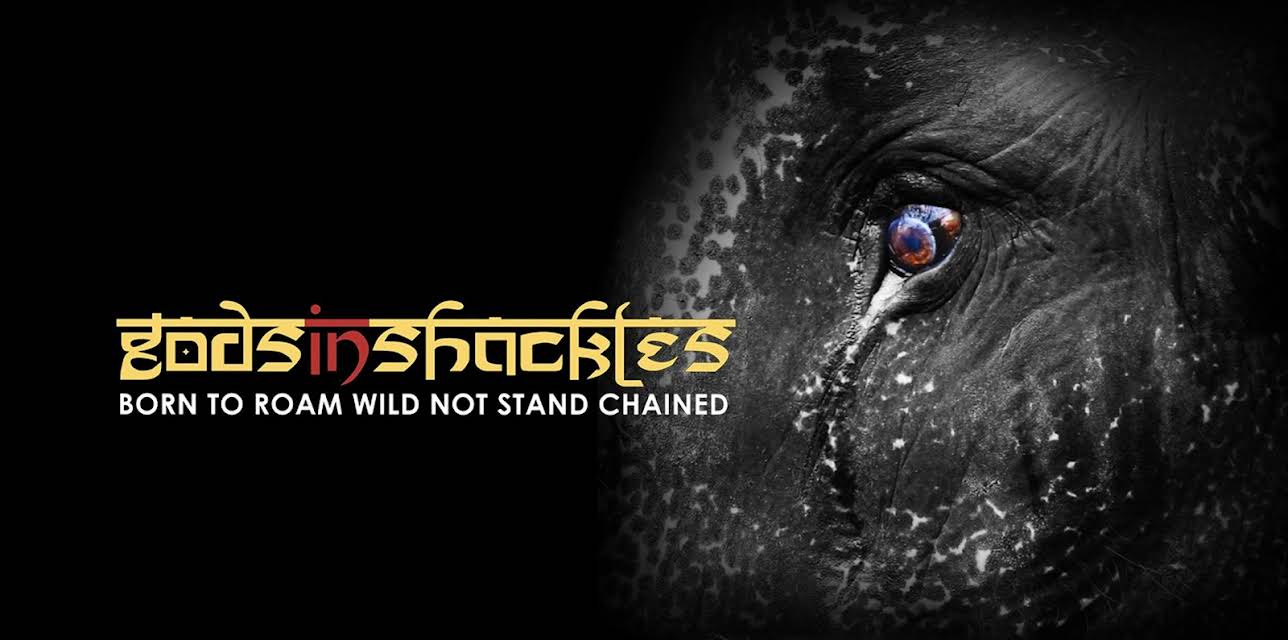 Gods in Shackles (2016)