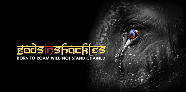 Gods in Shackles (2016)