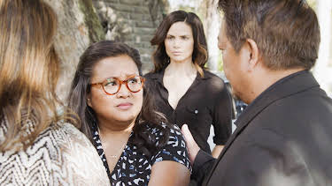 14:25: Hawaii Five-0 (S10 E18) (S10) | TV6 | 3/28 2026