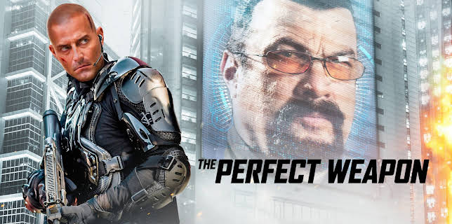 Perfect Weapon (2016)