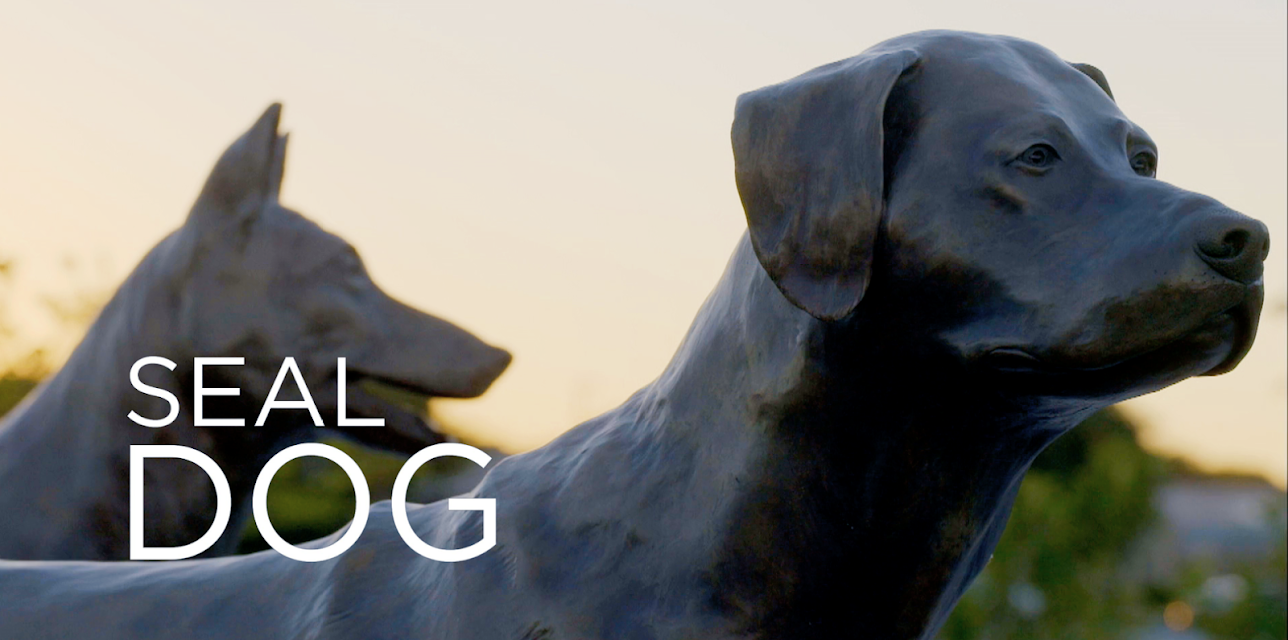 SEAL Dog (2015)
