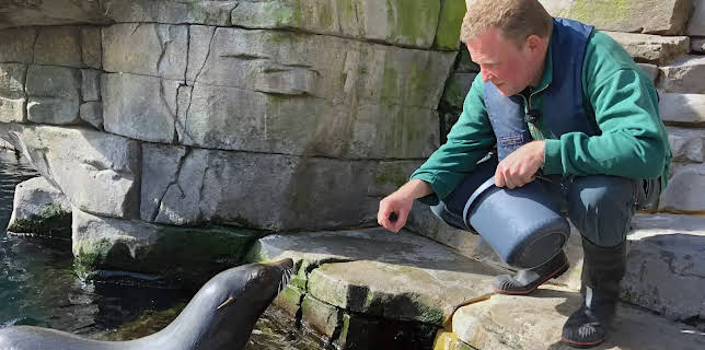 17:10: Leopard, Seebär & Co. | NDR Fernsehen | 11/24 2025