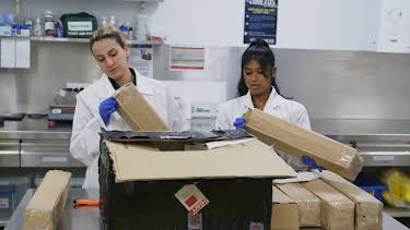 16:25: Grensevakten (S16 E2) (S16) | MAX | 3/31 2026