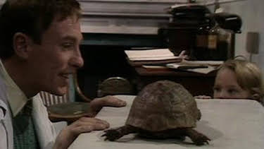 3:05 PM: All Creatures Great and Small (S1 E1) (S1) | Drama | 1/5 2026