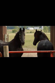 22:45: El increíble doctor Pol: ¡A toda prisa! | Nat Geo Wild | 3/20 2026