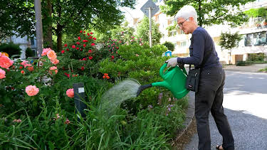 18:15: Die Nordreportage: Blumen gegen Müll und Hundekot | Radio Bremen | 7/27 2026
