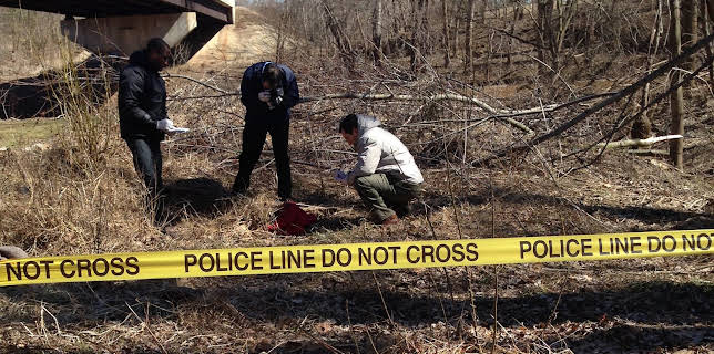 02:25: Min nabo er morder (S4 E15) (S4) | FEM | 11/8 2025