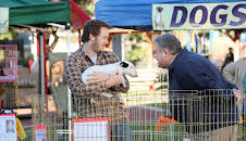 Parks and Recreation (S4 E19)