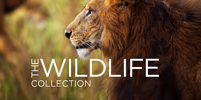 Wildlife Collection - Vol. 2