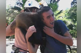 When Vacations Attack! Season 1: Episode Twentyone