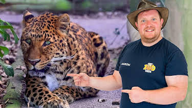 10:00 AM: One Zoo Three (S4) | CBBC | 6/24 2026