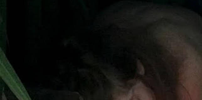 21:03: Aventura en pelotas: Problemas en el paraíso | Discovery | 3/22 2026