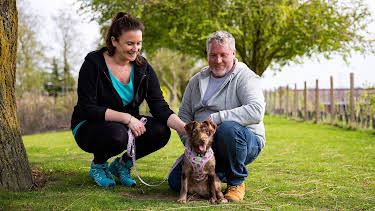 1:00 PM: The Dog House | Channel 4 | 9/20 2026