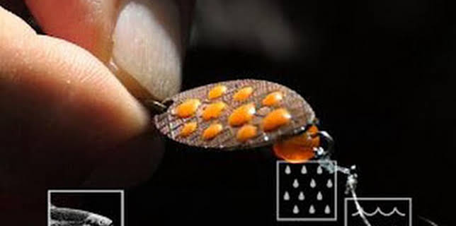 01:13: Truchas en el paraíso zamorano: Tuela | Caza y Pesca | 12/14 2025