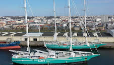 Frachtsegler erobern die Weltmeere