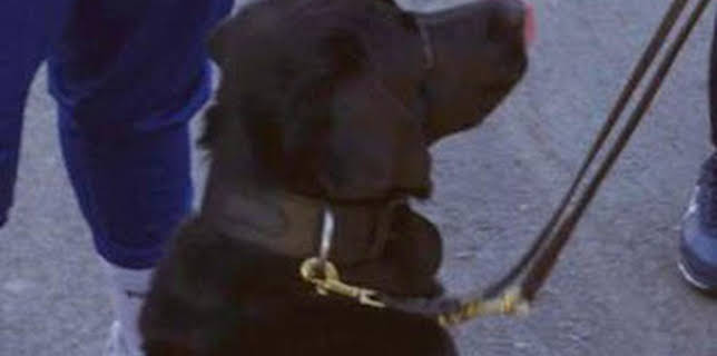 05:38: Control de fronteras: España: Episodio 10 | Discovery Max | 3/7 2026