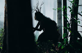 Inspector Rishi: In the Shadows