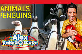 Alex & The Kaleidoscope: ANIMALS - PENGUINS