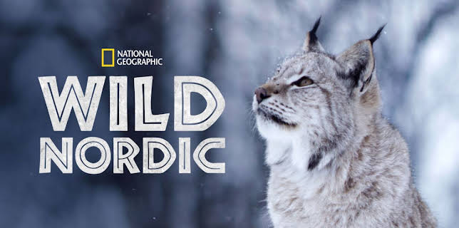 Wild Nordic